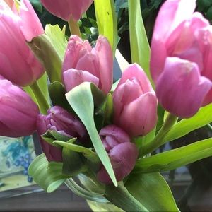 Meet your Posher, Ash